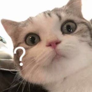 木下凛凛子无码破解资源
